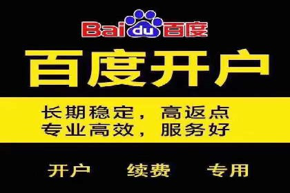 谷歌SEM案例研究：数据分析与效果评估